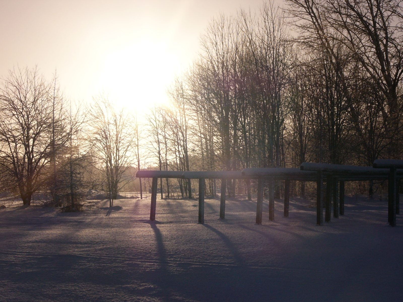 Free Winter Scenes